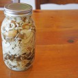 【きのこの塩漬け】週末に作っておきたい保存食レシピ！常備菜をうまく利用して時短クッキング。