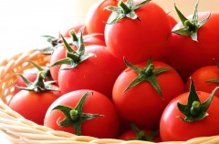 6月から9月が旬！栄養満点で長期保存できるトマトの簡単保存食レシピ【トマトピューレ】